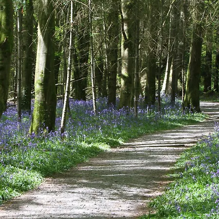 The Haggard Self Catering בית נופש *