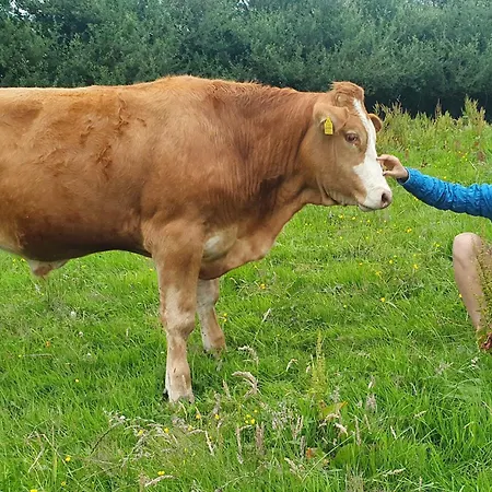 בית נופש The Haggard Self Catering