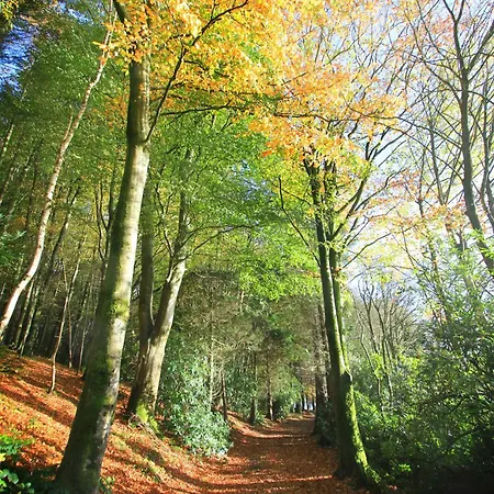 The Haggard Self Catering