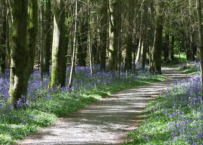 The Haggard Self Catering Σπίτι διακοπών *