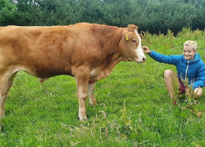 Σπίτι διακοπών The Haggard Self Catering