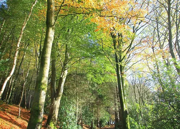 The Haggard Self Catering